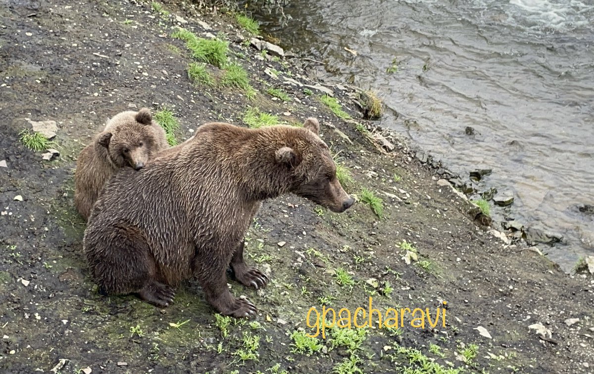 Goutham Pacha Ravi tweet media