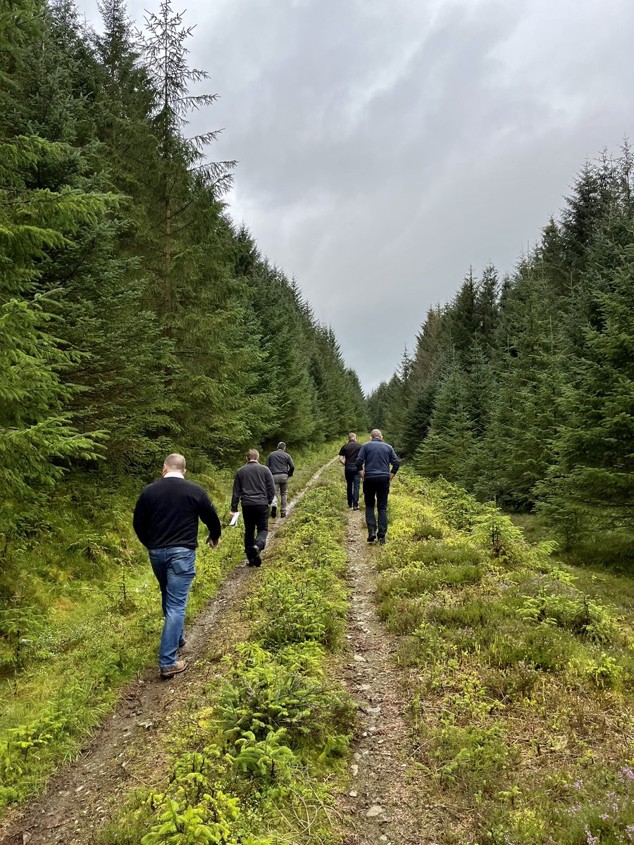 ForestryExpo tweet media