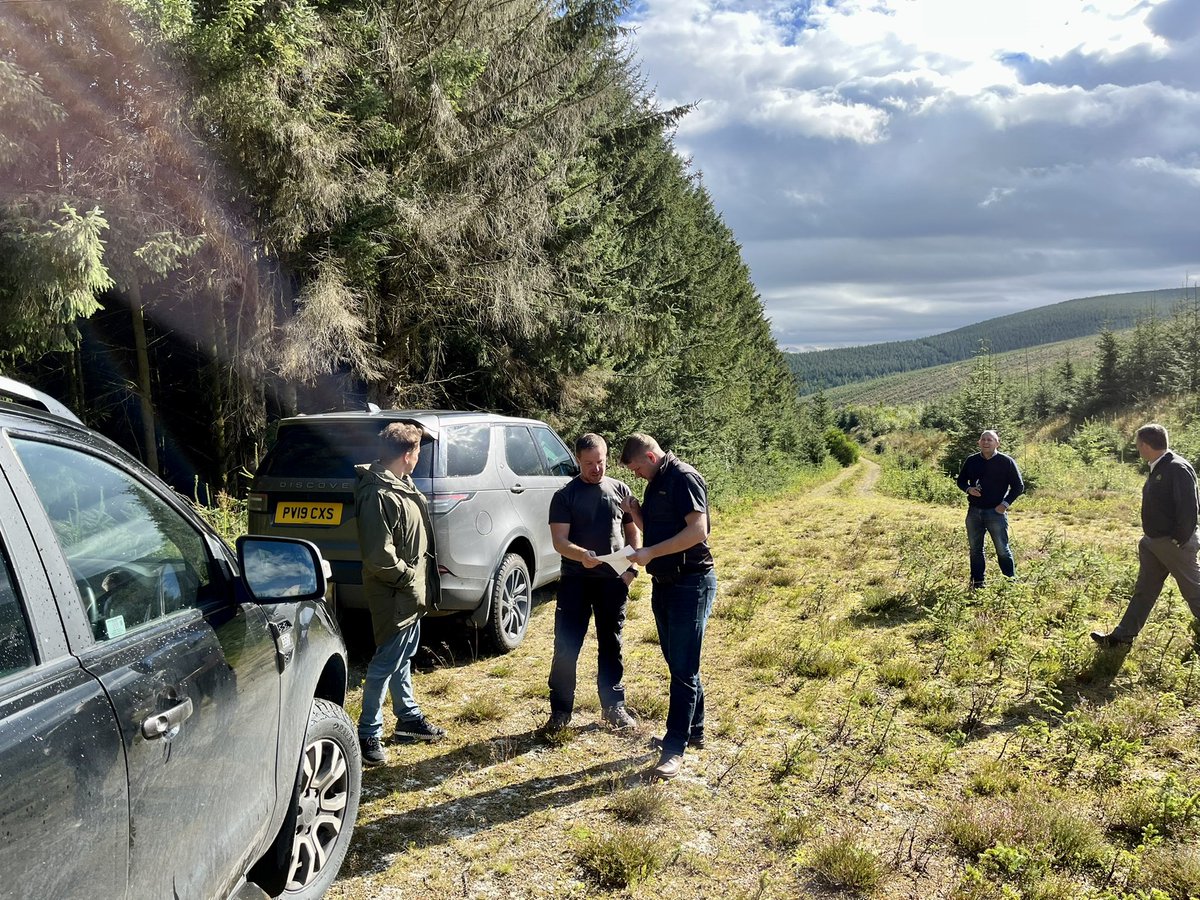 ForestryExpo tweet media