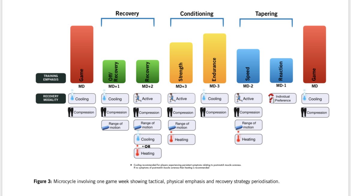 Robin Thorpe tweet media
