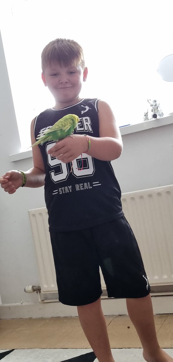 ItsStaceyt94's tweet photo. Woody was supposed to be getting some exercise, instead used K as his perch 😂 @LadywoodKH @class_chestnut https://t.co/s3d6b0ufgt