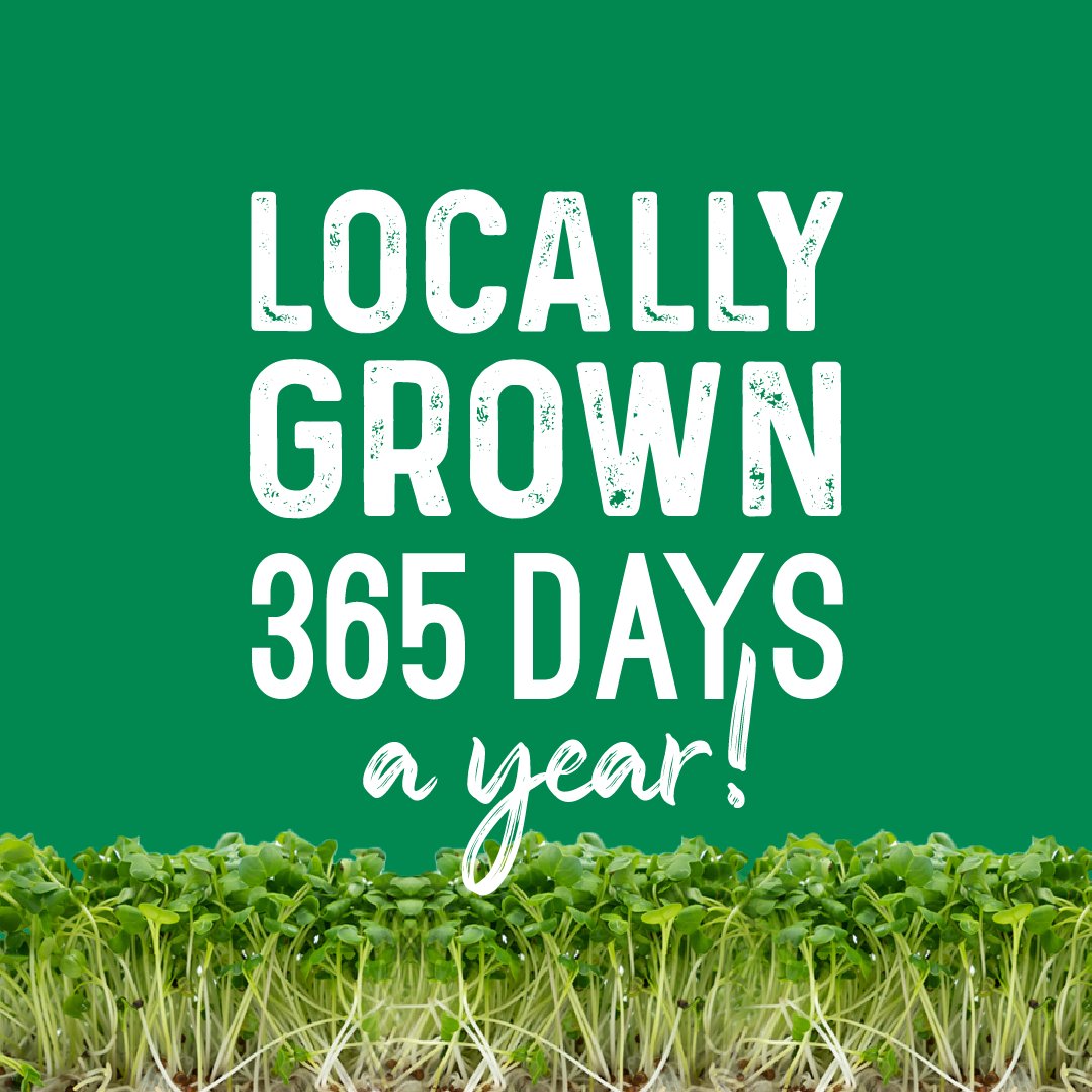 ALLWaysLocal's tweet photo. Food can be at the heart of policies to build community wealth and create resilient local economies. It's time we support more #localfarmers to sustainably grow what we eat where we live. 👨‍🌾 #buylocal #supportlocal https://t.co/EL5cc4laDZ