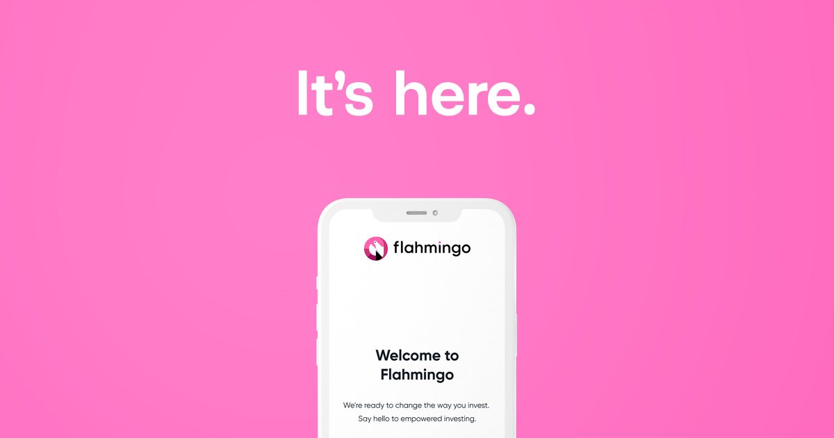 Flahmingo tweet media