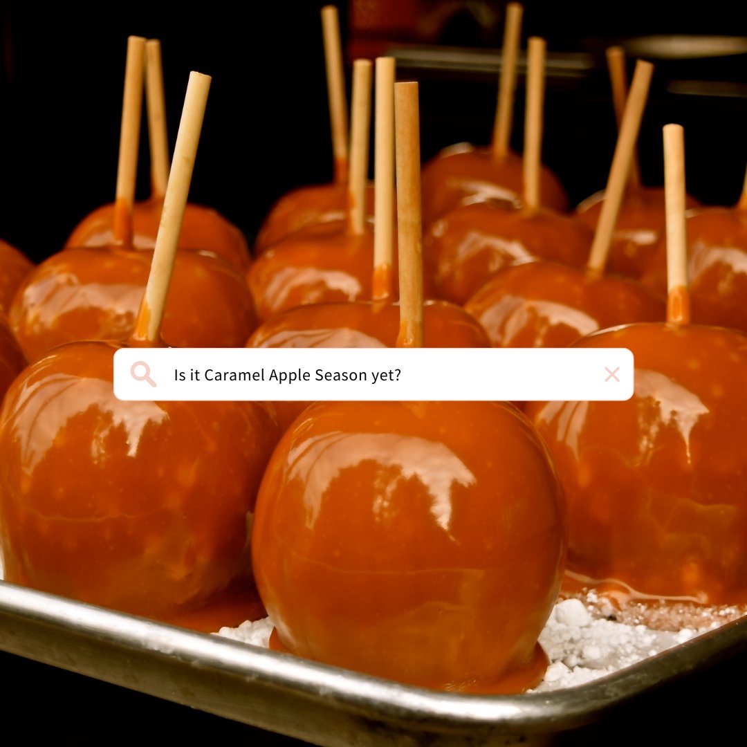 Cow Tales tweet media