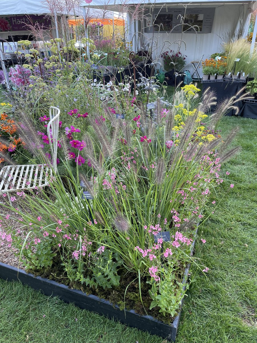 Rob Hardy tweet media