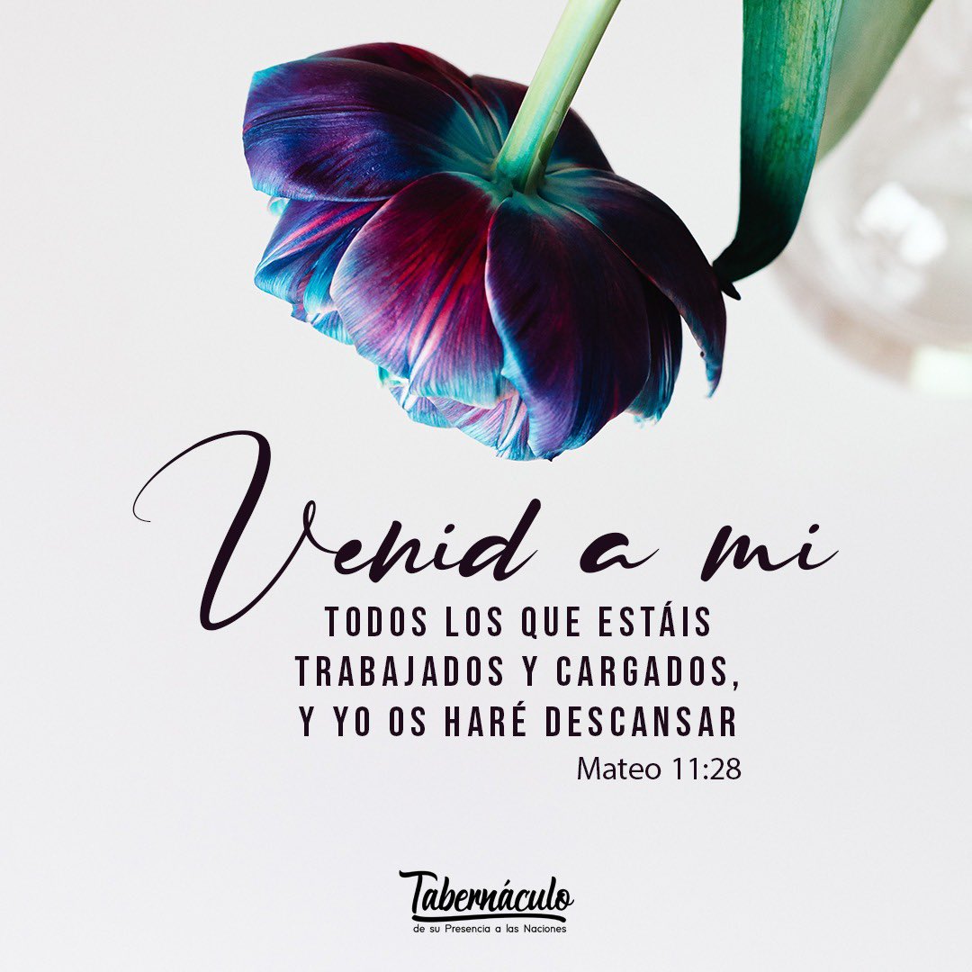 ProfetaAnaM's tweet photo. Venid a mi todos lo que estáis trabajados y cargados y yo os haré descansar. Mateos 11:28 https://t.co/UOiYmWDf5P