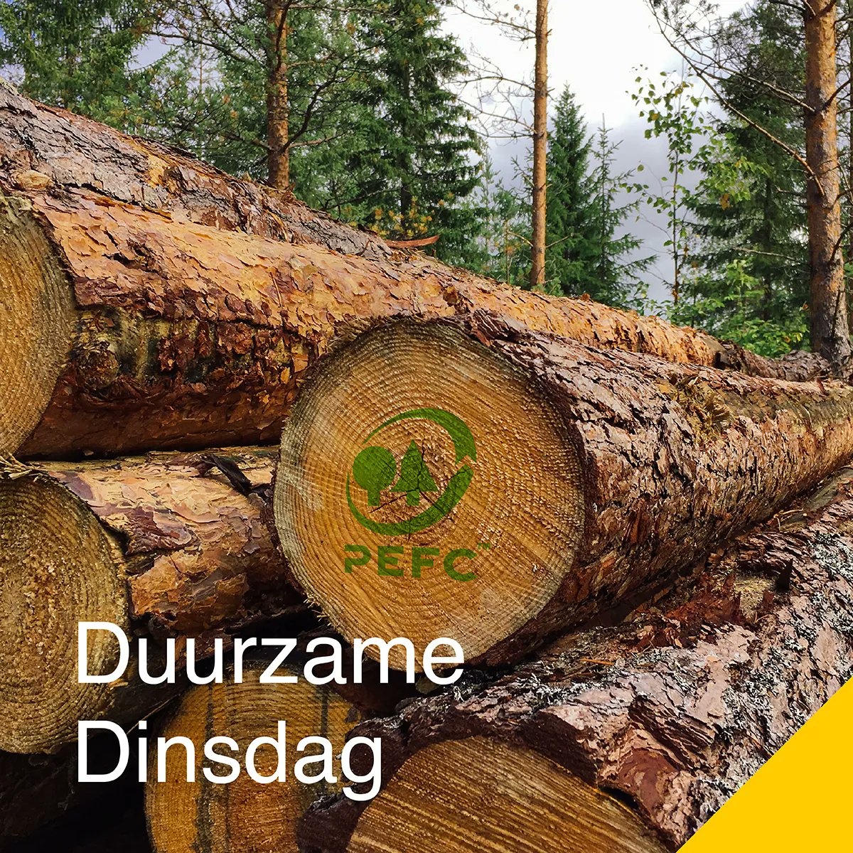 RecticelInsulNL's tweet photo. Vandaag is het Duurzame Dinsdag! 💚

Een mooi moment voor een kleine reminder: bij het #verduurzamen van gebouwen is #isoleren een eerste (en belangrijke) stap. Isoleren betekent namelijk energie besparen, en dat heeft een positieve impact op ons milieu en op je #energierekening. https://t.co/MF23XgExxT