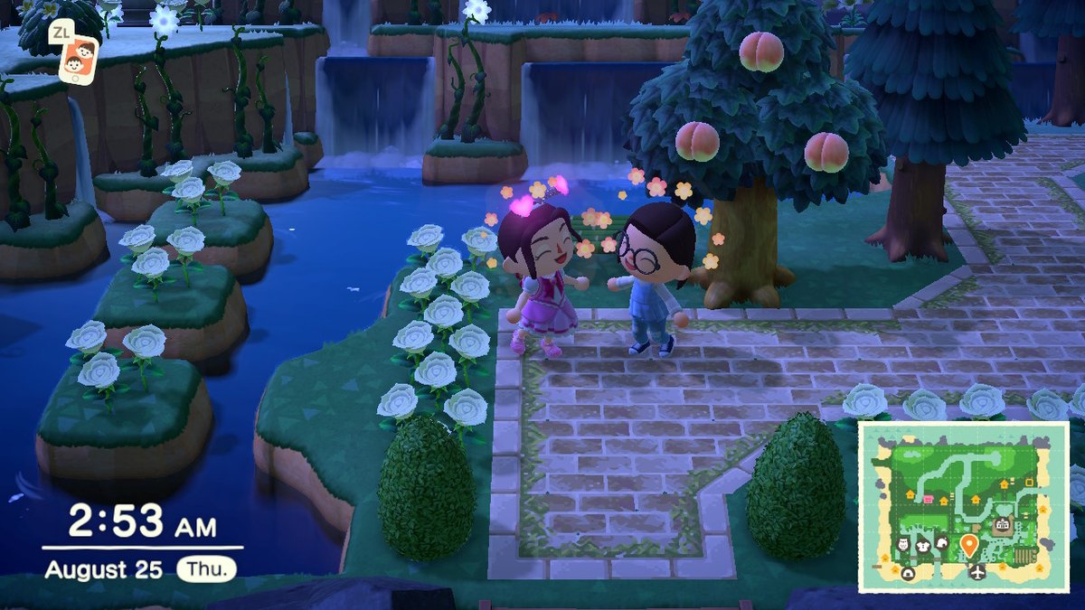 #AnimalCrossing #ACNH #NintendoSwitch