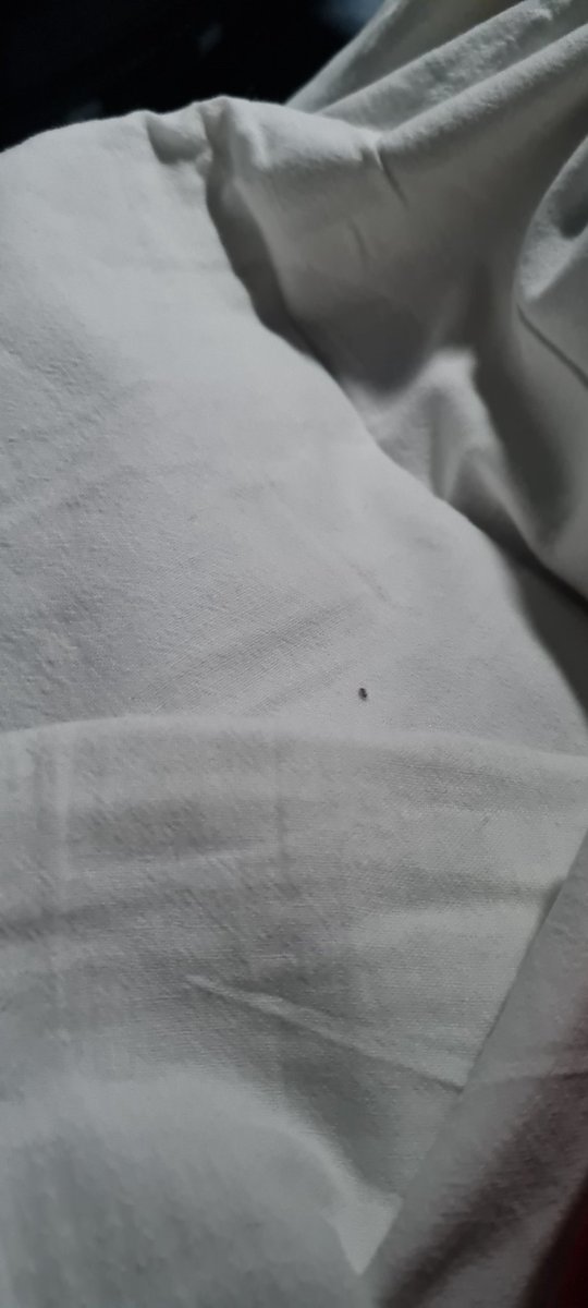 Neha_Prerak's tweet photo. #unhygienicrailways

Used bed roll during corona time upon requesting by everyone they don't have replacement also.They don't have fresg rolls in entire bogie and it's better to travel without roll.Unhygienic epitome
@IRCTCofficial 
@IndianRailMedia 
@RailMinIndia 
@RailwaySeva https://t.co/3yZYMcX2l0