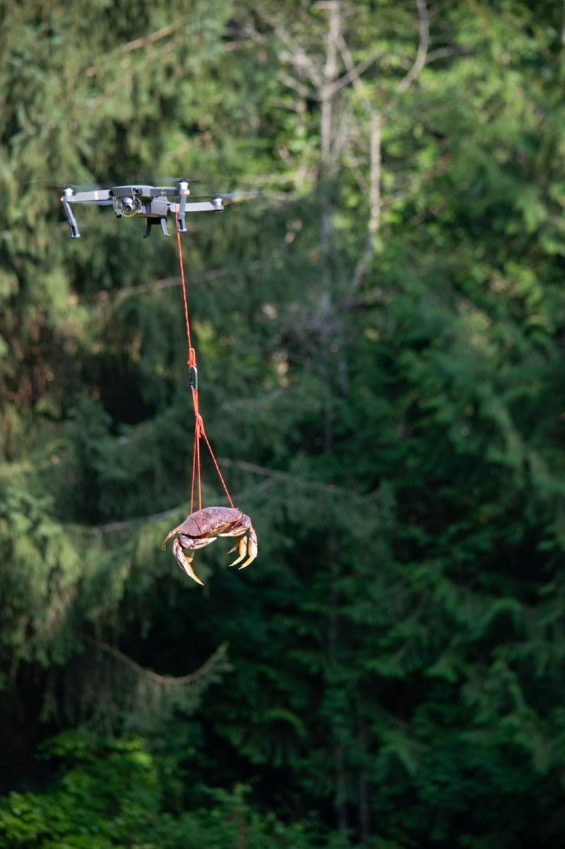 Behold, the Maryland Air National Guard