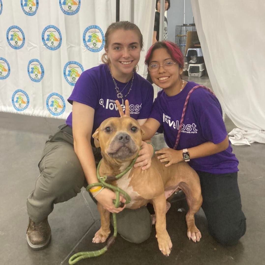 Mega wasn’t Gator’s big break like we had hoped - but that’s okay! Lots of our other animals found their furever homes, and we’ll just keep trying with Gator! Here’s a collection of our favorite photos of him - share to help us get him a home!!! 

Gator (A030977) is 8YO, and he