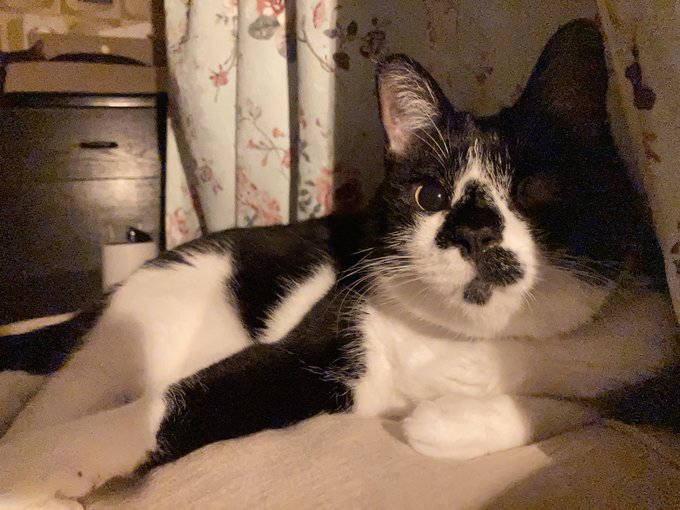 LOVEそいねっこ 