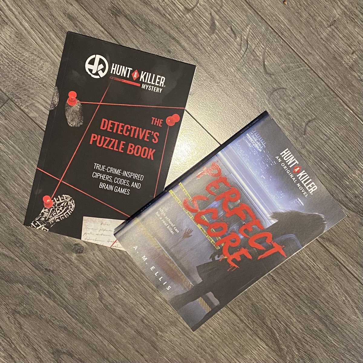 It's National Read a Book Day! What are you reading?

#nationalreadabookday #huntakiller #murdermysterybooks #murdermystery #YAfiction #detectivepuzzlebook #puzzlebook