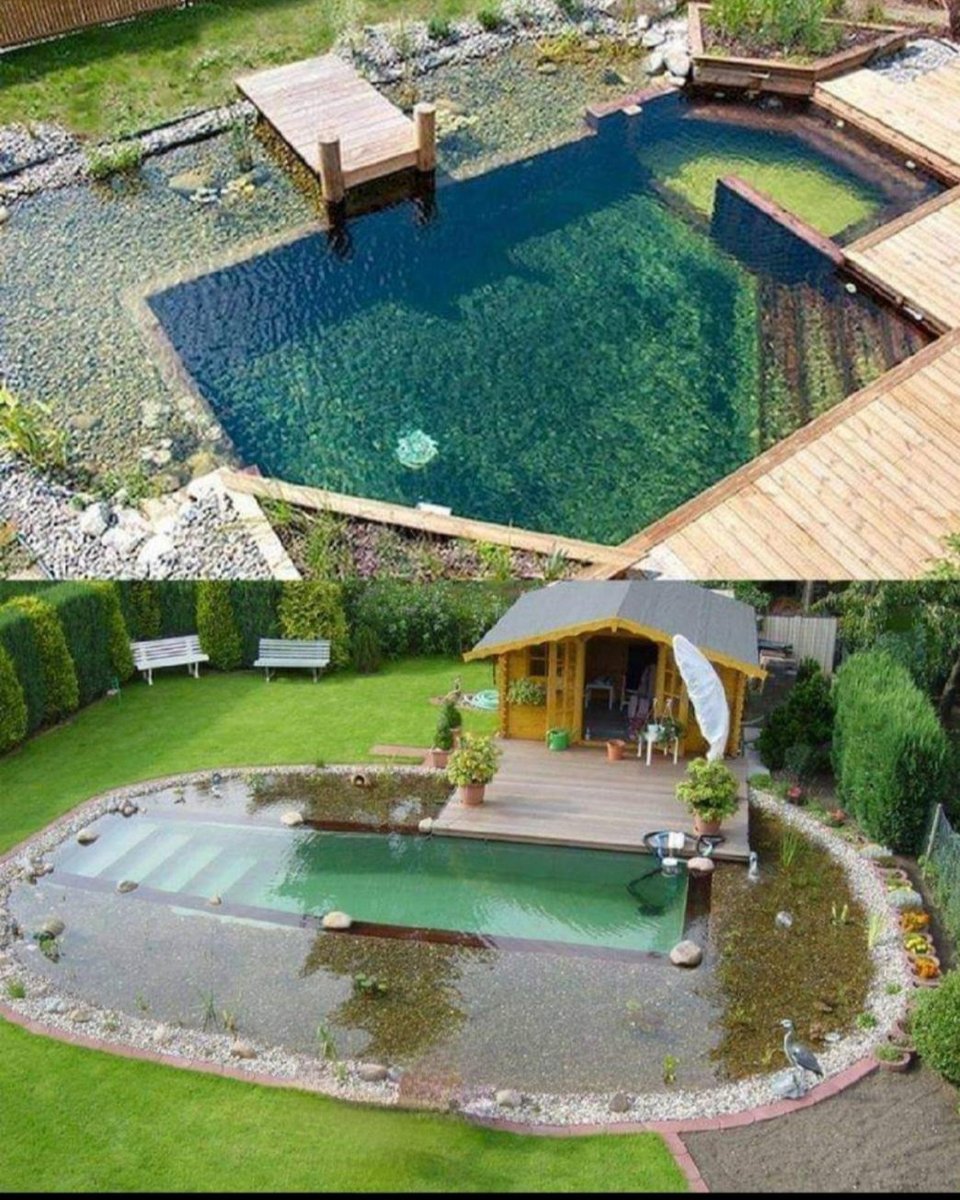 KingRealtyAsso1's tweet image. Natural swimming pools or ponds are filtered organically rather than by chemicals. What are your thoughts....would you want this in your backyard? 
#summerpoolfun #allnaturalpool #realestate #njrealestate