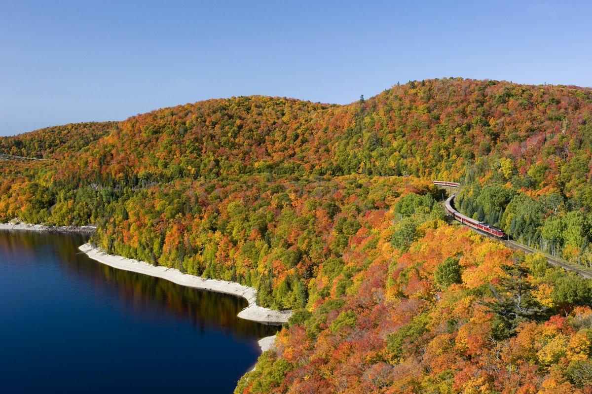 Est-ce trop tôt? Mais non! <a href="/SaultTourism/">Sault Tourism</a>  est bien connue pour sa beauté époustouflante en automne. Rien n’égale les couleurs vives des feuilles, les nombreux sentiers à explorer ainsi que les vues inoubliables qui saisissent la véritable beauté de dame Nature.
#DécouvrezON