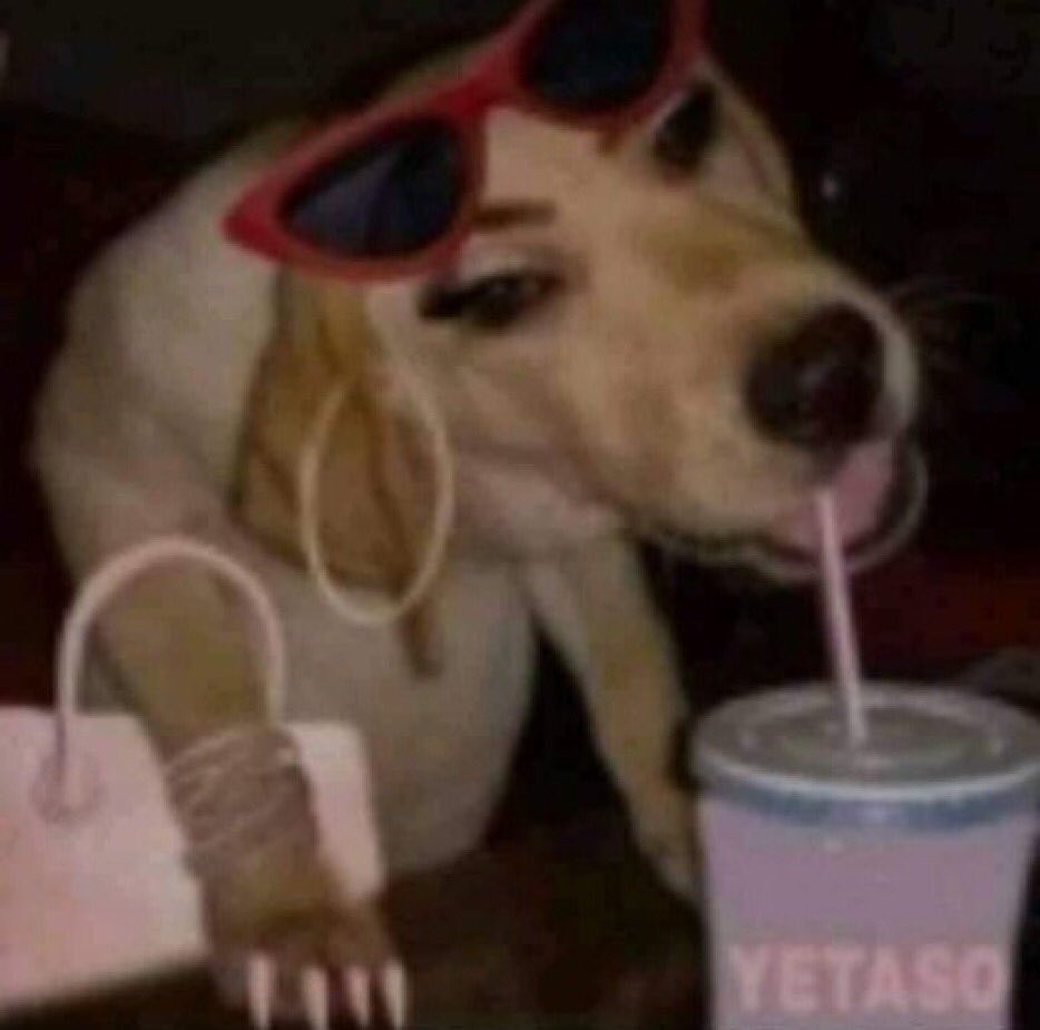 jenbpk's tweet photo. realmente o que ninguém sabe, ninguém estraga.. e que continue assim https://t.co/N0dBFGOdkE