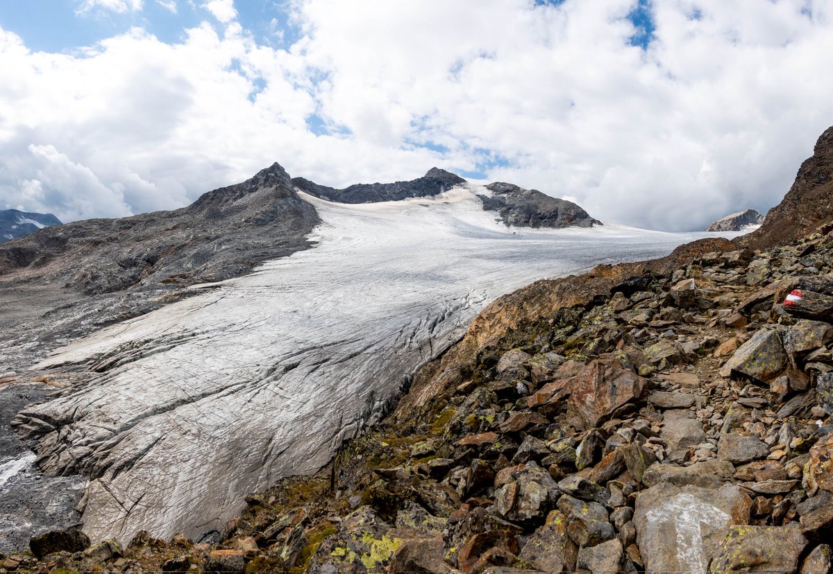 Marie Schroeder tweet media