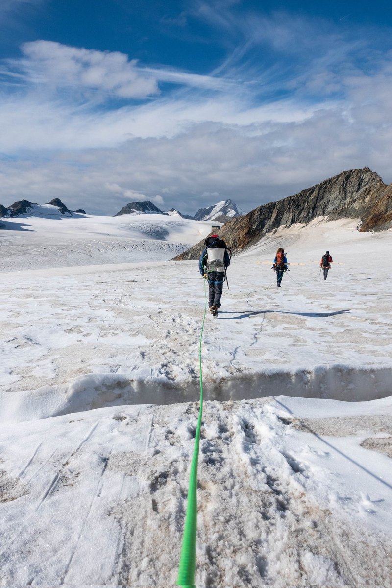 Marie Schroeder tweet media