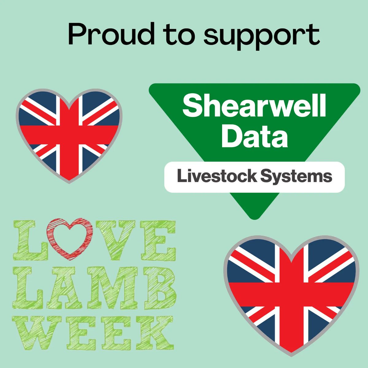 Shearwell Data Ltd tweet media