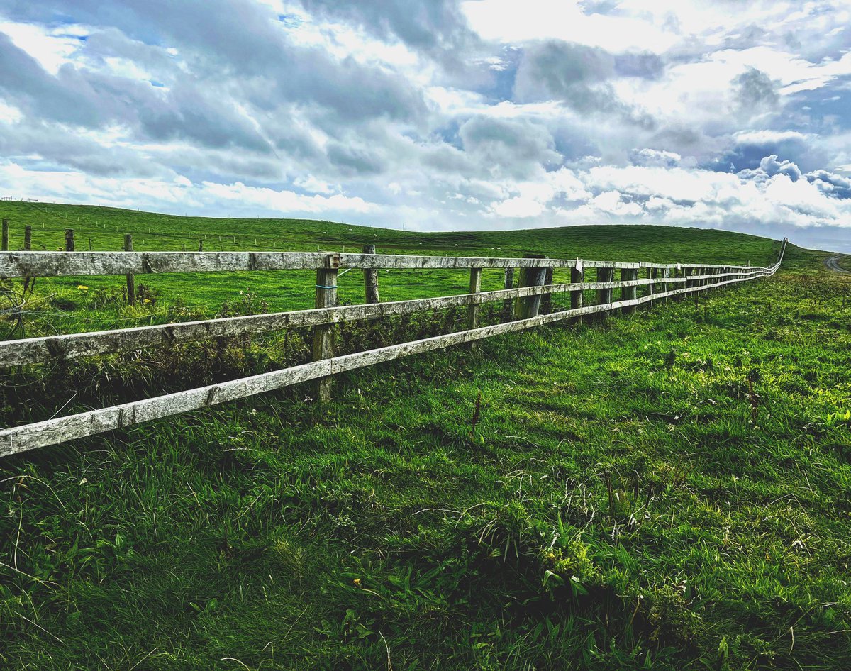 Be fearless in the pursuit of what sets your soul on fire. – Jennifer Lee