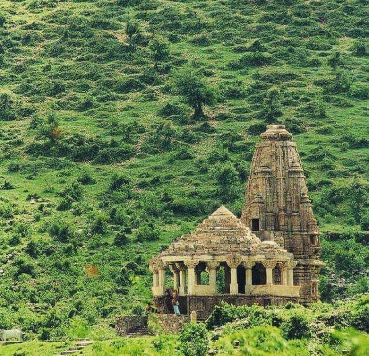 LostTemple7's tweet photo. If u want to feel the ancient energy visit our temples, u'll feel a spiritual vibration pervading inside even after centuries of abandonment.. https://t.co/iXfrqq9uyz