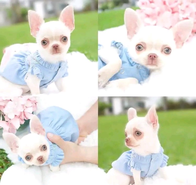 freddy (@freddy1963mail1) on Twitter photo 