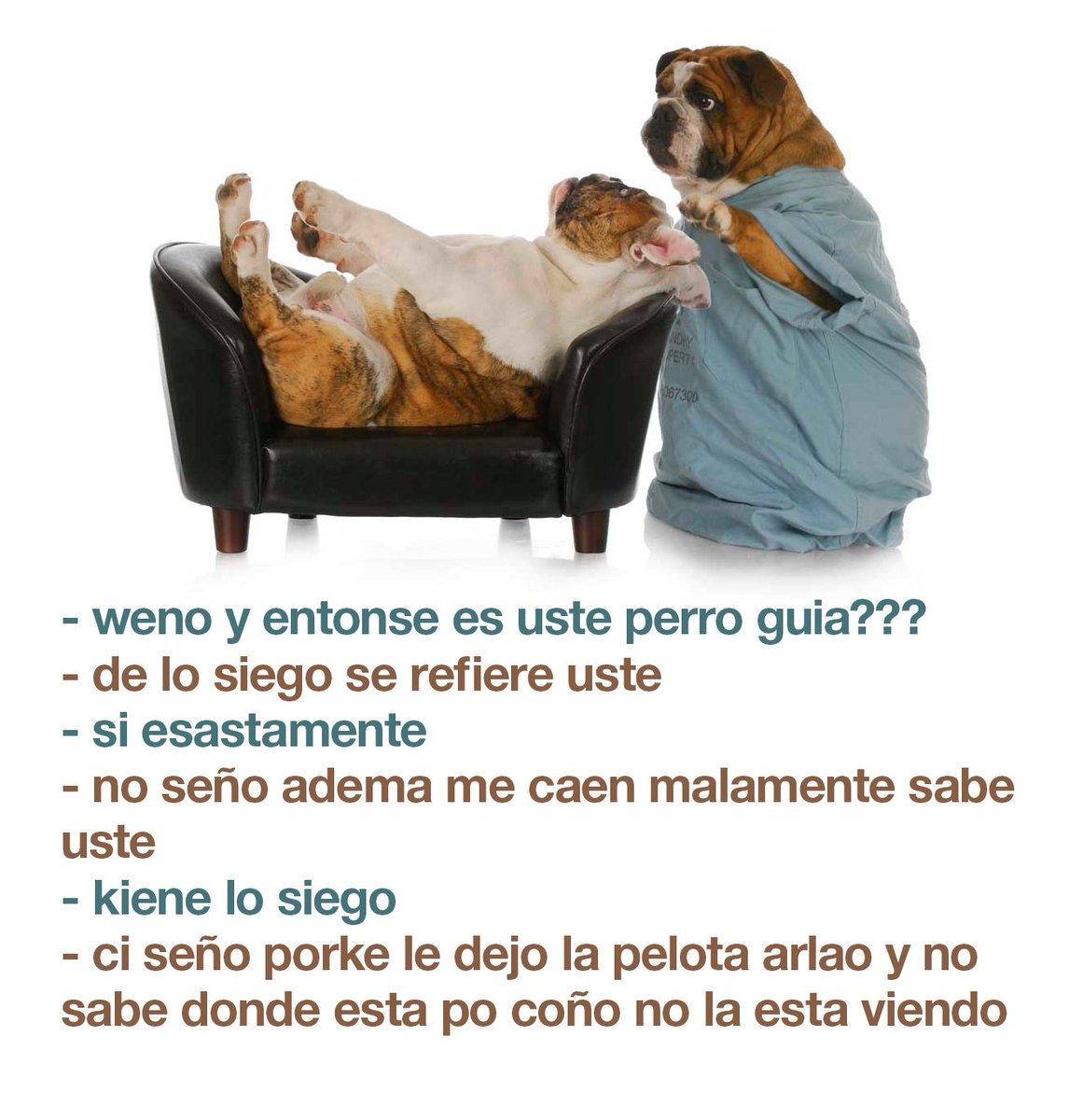 malacarasev's tweet photo. LA VUERTA DE LA VACASION (1/2) https://t.co/JOZNLQbA8o