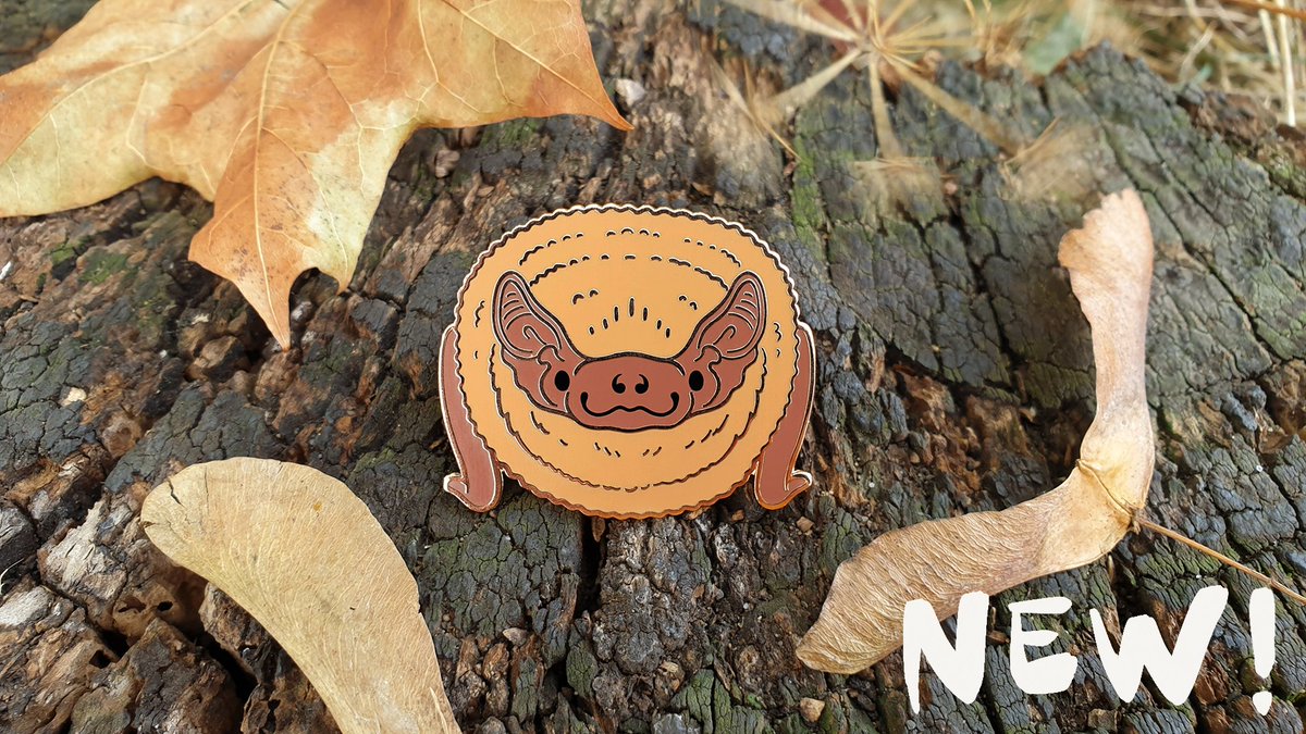 Emma Reynolds 🦇 tweet media