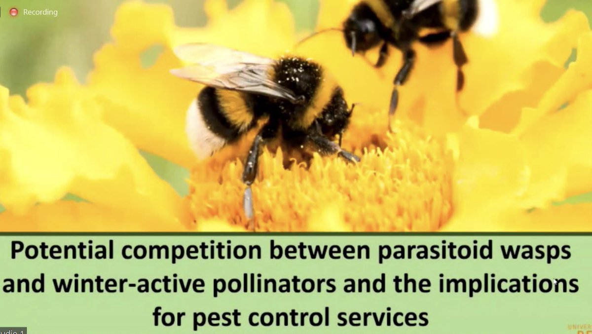 Functional_Bio's tweet photo. Well done to @D_Valsami for presenting her MSc research at #Pollinators22! A fascinating presentation on competition between ecosystem service providers 🌽🐝🪰🌻 https://t.co/jDRd3xoBi9