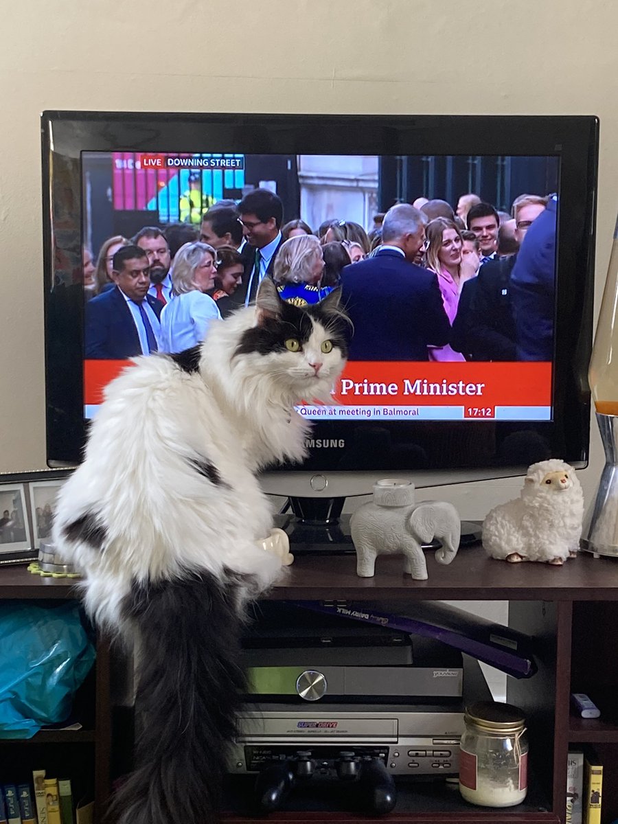 Absolutely unconvinced #LizTruss