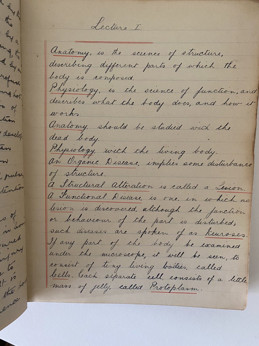 Amy Wright tweet media