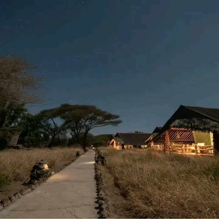 KevicLtd's tweet photo. A luxury tented camp situated at the heart of the famous Amboseli National Park.
For booking and enquiries get in touch+254113276998
#amboseli #kilimanjaro #magicalkenya #amboselinationalpark #luxury #luxurytentedcamping #privatewing #tourismkenya #kenya #eastafrica https://t.co/OljuZwZzp6