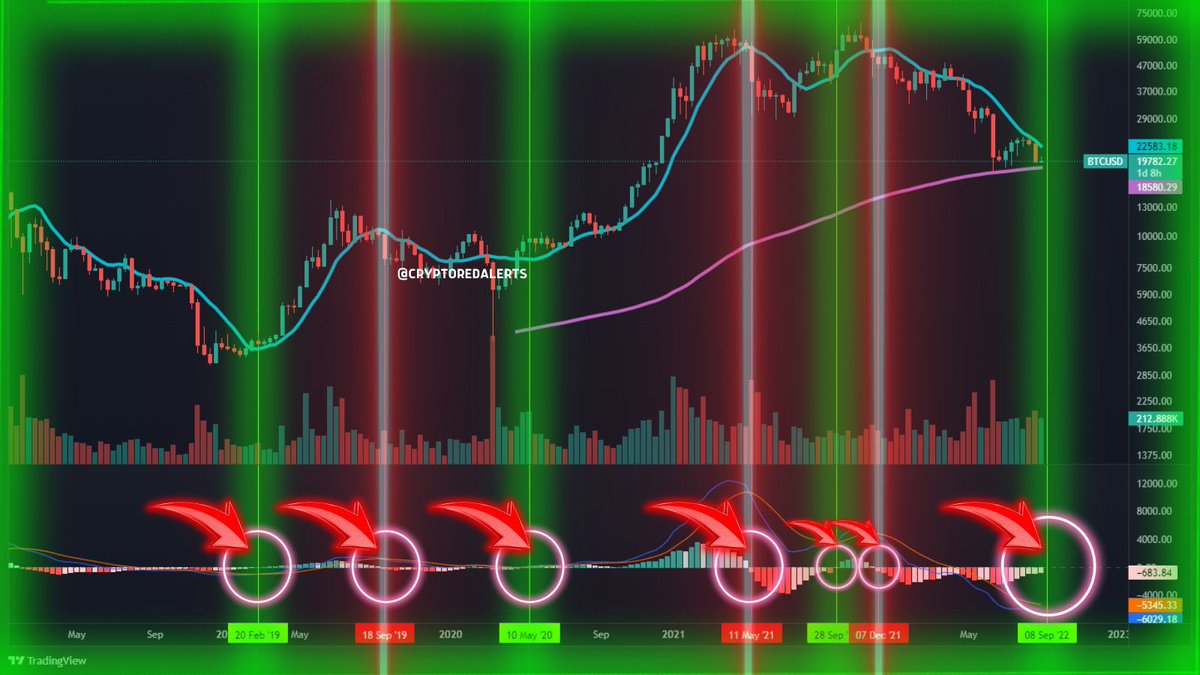 cryptoredalerts's tweet photo. 🚨RED ALERT

#Bitcoin is on track for it’s first green 10D MACD cross since September of 2021

Neither BULLISH OR BEARISH CROSSES on this 10D chart have ever NOT resulted in a massive trend change https://t.co/47k27guwE8