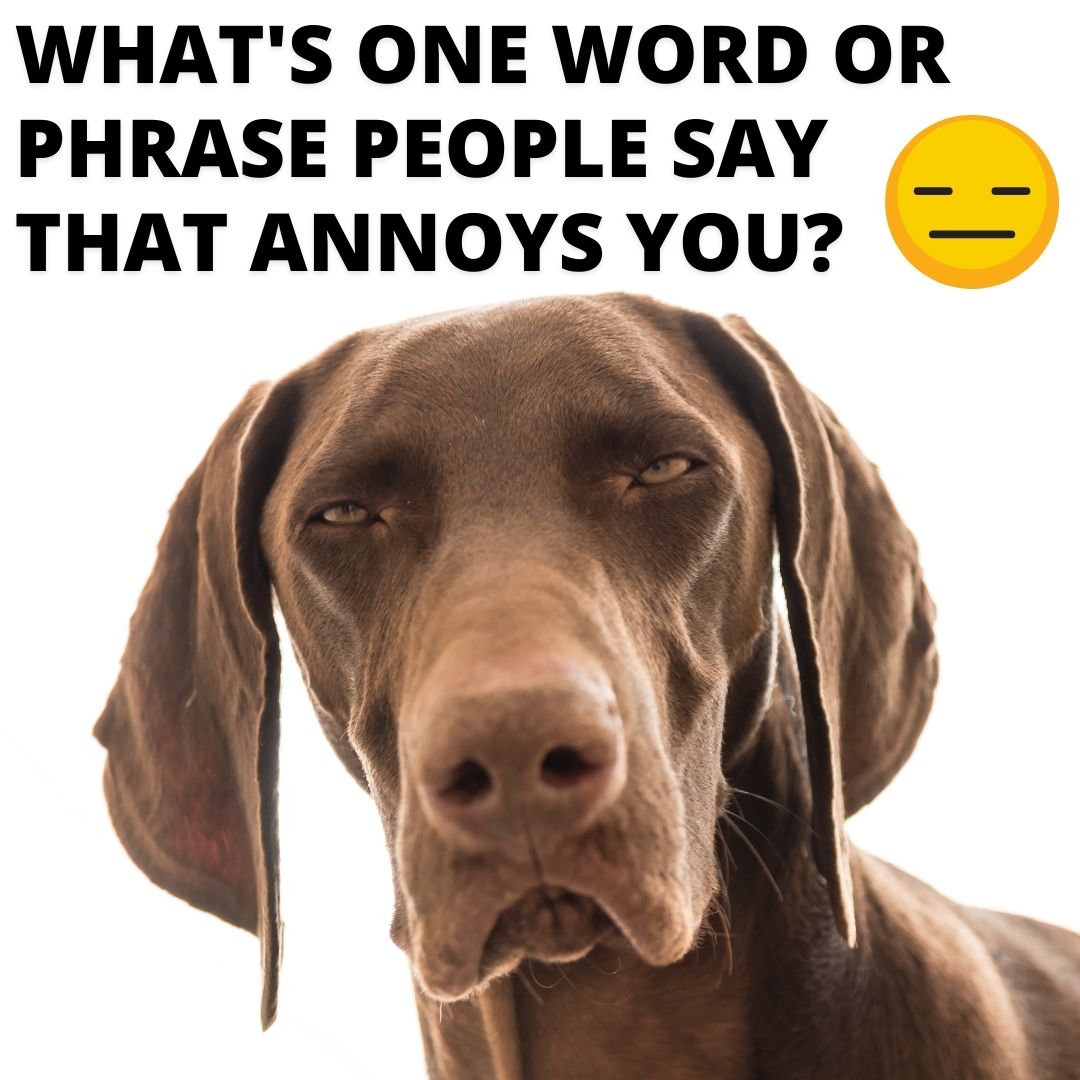 WBTV News tweet media