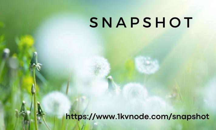 kyra_gary's tweet photo. A validator snapshot is a file that contains the current state of a validator. 

https://t.co/knNNk5TH9L

#snapshot #polkadot #validator https://t.co/trhpIrzAcD