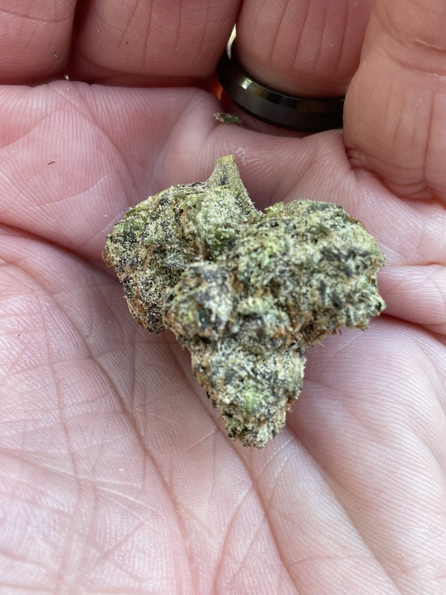 Buckeyes97's tweet photo. Finally! I can get my day started right! @backpackboyzclb
#NFT #NFTCommunity #NFTUtility #web3 #cannabis #backpackboyzclub #BPBC https://t.co/Mrlyhmf0wK