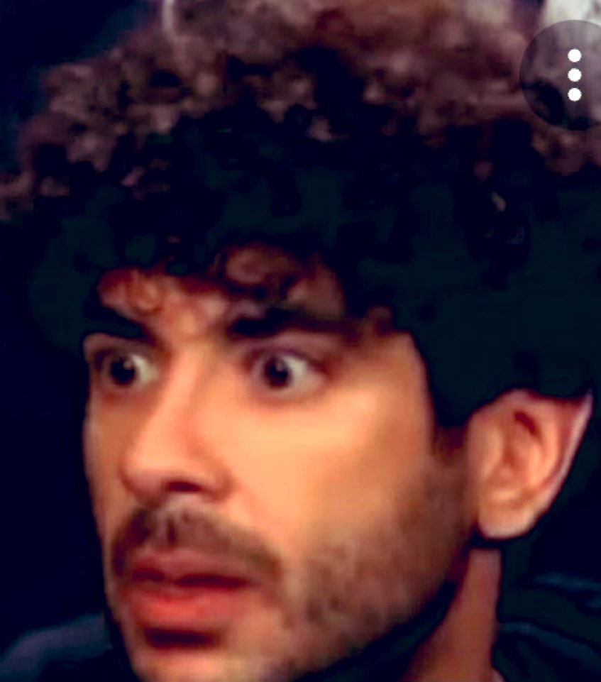 When your collection of wrestling action figures come to life and start fighting for real