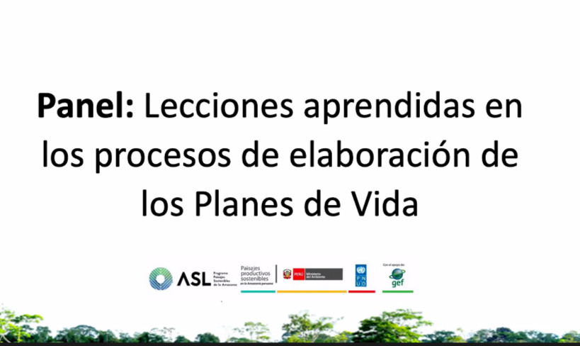 PID Amazonía tweet media