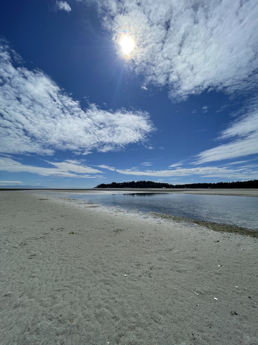 FlyYQQ's tweet photo. Not sure if we'll ever take these views for granted. 😍

#FlyYQQ https://t.co/OwmM9bufYY