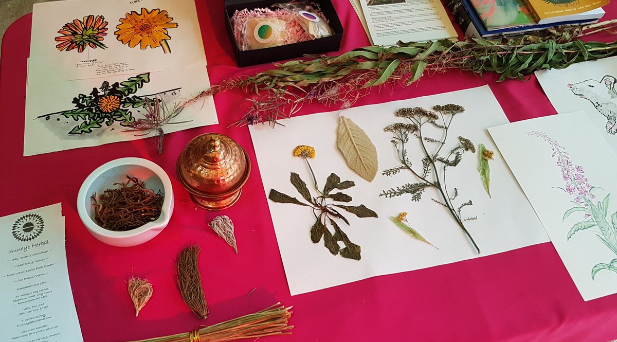 _chloelund's tweet photo. What a joy to chat to so many people about the abundant, powerful, healing plants we have growing wild in our city! Thank you to @Poli_Nations and all who braved the morning rains to attend the #GrowingProject tea workshops today πΏπ΅π§ https://t.co/edGzlzzG3e