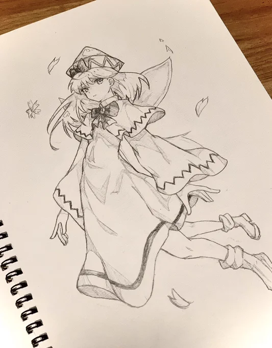 17日目
リリーホワイト 