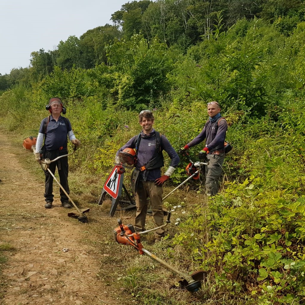 BerryHeadRanger's tweet photo. The Berry Head volunteers have been out clearing some of the main paths around The Grove at Churston. This is just a section of the 40 miles of pathway that we look after across Torbay.

#footpathmaintenance #thankyouvolunteers https://t.co/aDl0B3bQyE