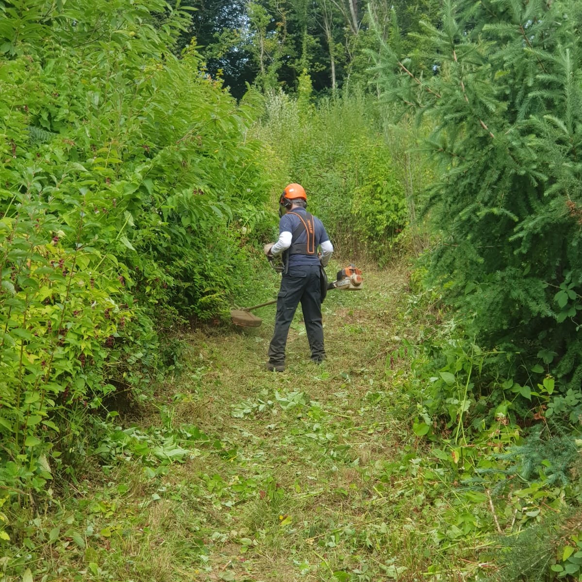 BerryHeadRanger's tweet photo. The Berry Head volunteers have been out clearing some of the main paths around The Grove at Churston. This is just a section of the 40 miles of pathway that we look after across Torbay.

#footpathmaintenance #thankyouvolunteers https://t.co/aDl0B3bQyE