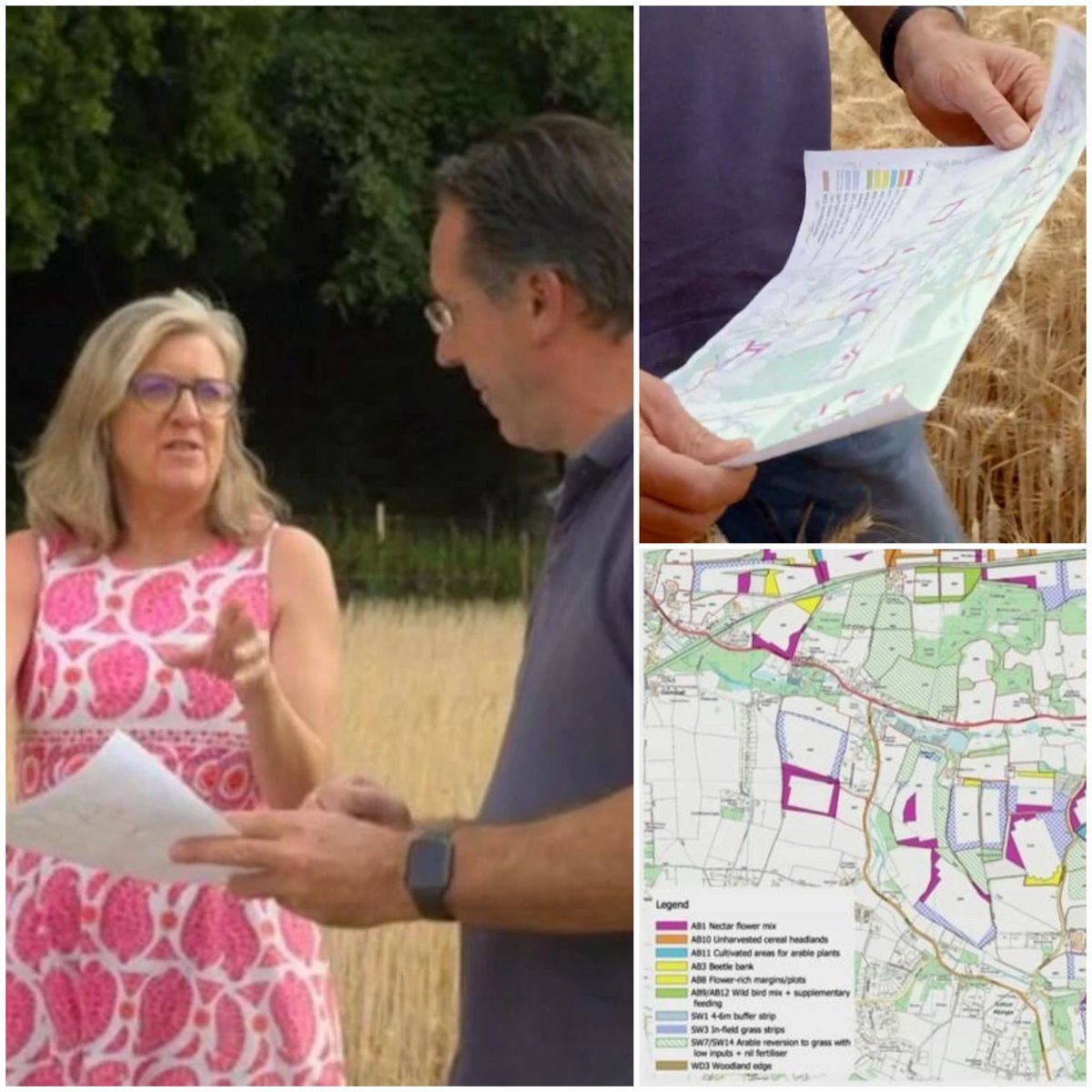 FWAGSouthEast's tweet photo. If you watched Countryfile you might have spotted one of our bespoke maps πΊ we create them based on your needs, they can be printed large enough for the office wall, or small for use in the tractor #fwagse #fwagsoutheast #bespokemaps #countrysidestewardship #map #mapping #gis https://t.co/1yZZYbPkwT