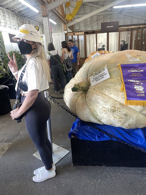 Ass for scale 🎃 https://t.co/CsmLdiTbXM