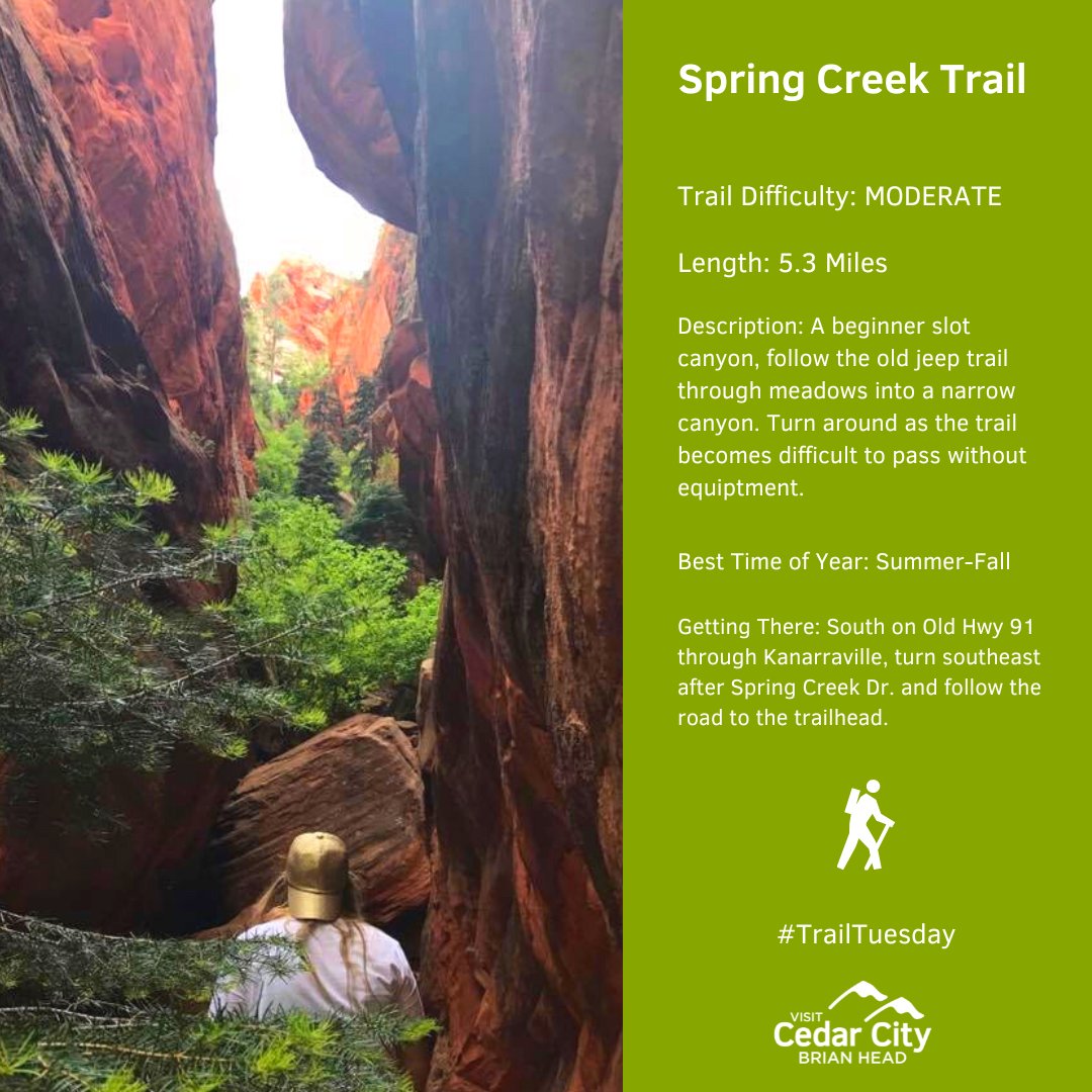 VisitCedarCity's tweet image. Even as the fall colors start to show up we're still clinging to summer here in #southernutah! While the weather's still warm this trail is a great choice for a little exploration. 
·
#TrailTuesday #VisitCedarCity #OptOutside #HikeUtah