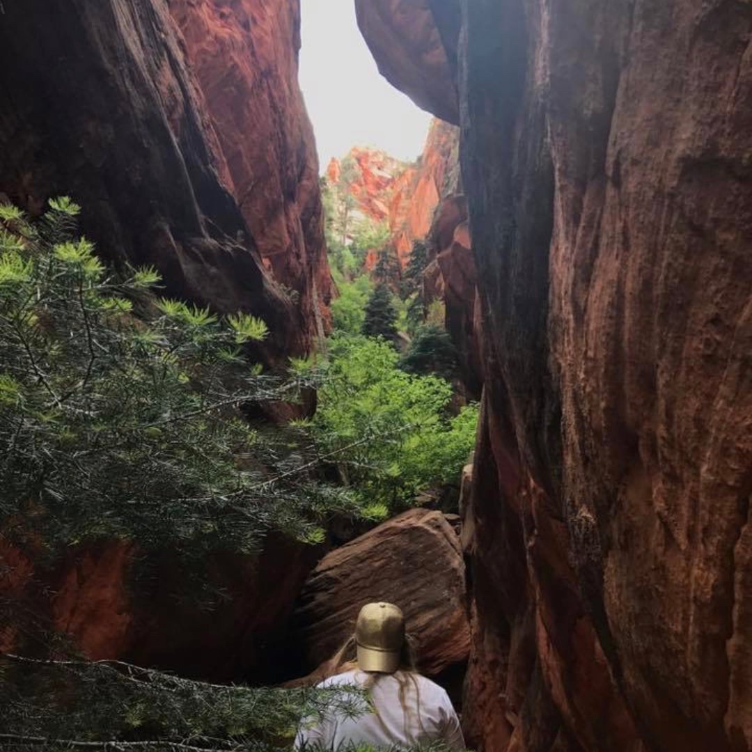 VisitCedarCity's tweet image. Even as the fall colors start to show up we're still clinging to summer here in #southernutah! While the weather's still warm this trail is a great choice for a little exploration. 
·
#TrailTuesday #VisitCedarCity #OptOutside #HikeUtah