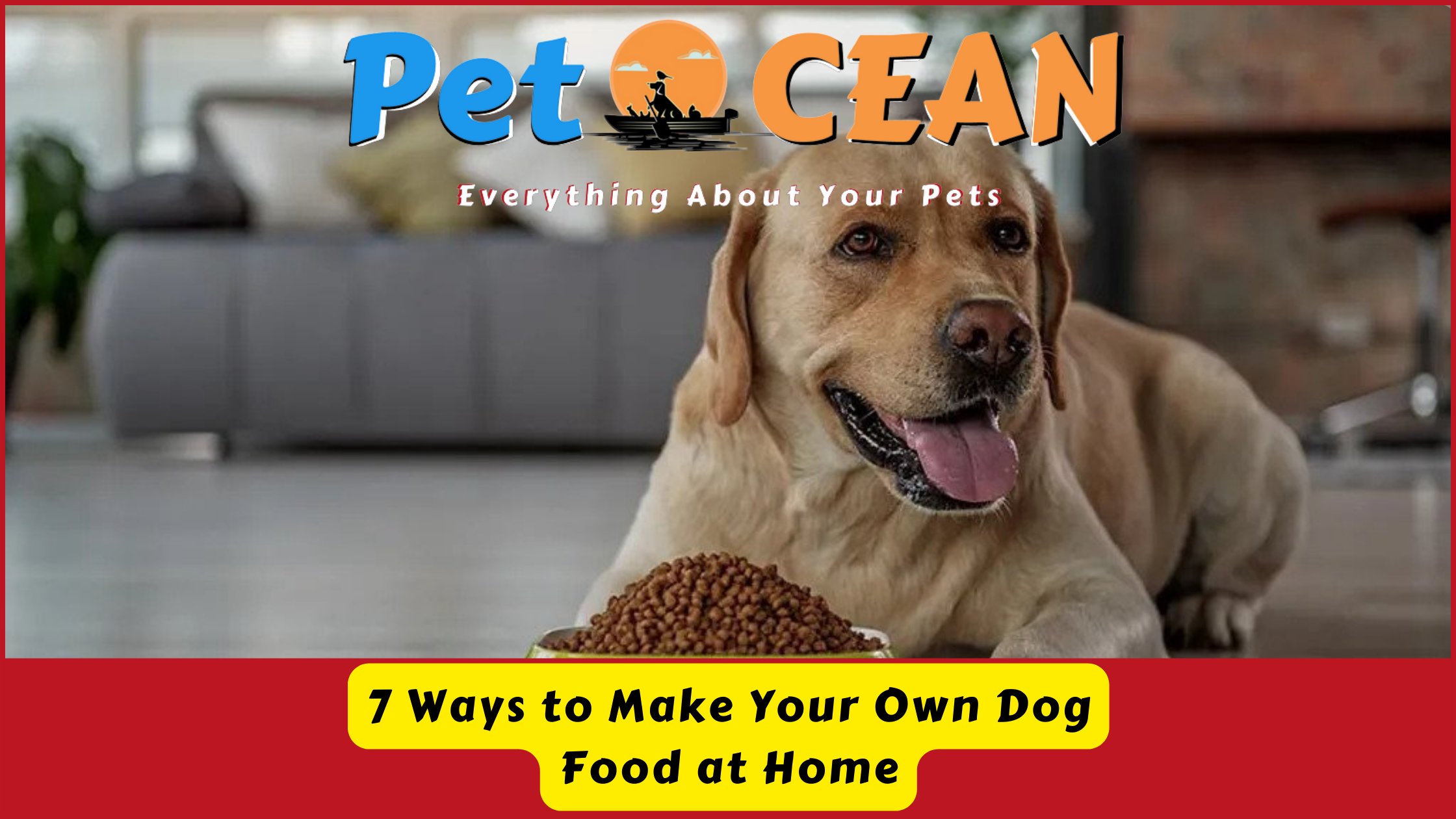 How To Create Your Own Dog Food