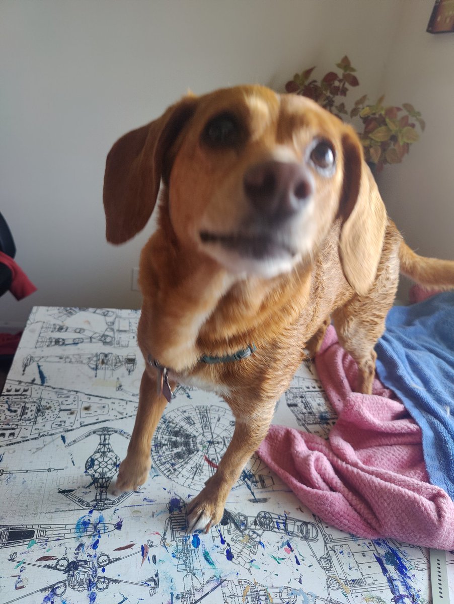 I got a bath this morning:( now I have to sit around ALL DAY with fuzzy scales because I'm a "slow dryer". Ridiculous.