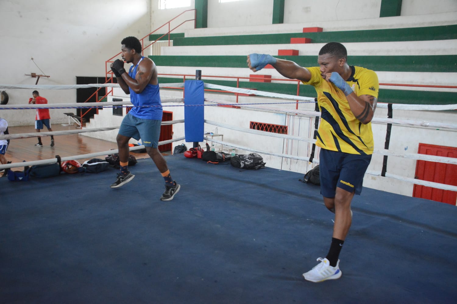 Bata de boxeo juvenil con guantes a juego -  España